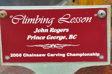 sign: 2006 chainsaw carving Climbing Lesson